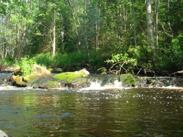 Shrap-Drakers.pl | Shrap Drakers Fishing | Wędkarstwo 