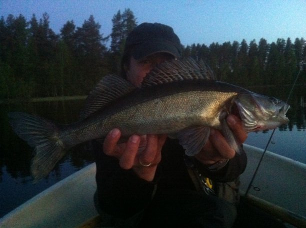 Shrap-Drakers.pl | Shrap Drakers Fishing | Wędkarstwo 