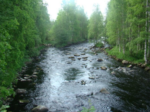 Shrap-Drakers.pl | Shrap Drakers Fishing | Wędkarstwo 