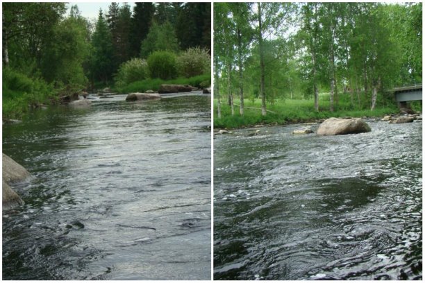 Shrap-Drakers.pl | Shrap Drakers Fishing | Wędkarstwo 