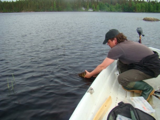 Shrap-Drakers.pl | Shrap Drakers Fishing | Wędkarstwo 