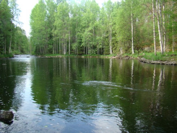 Shrap-Drakers.pl | Shrap Drakers Fishing | Wędkarstwo 