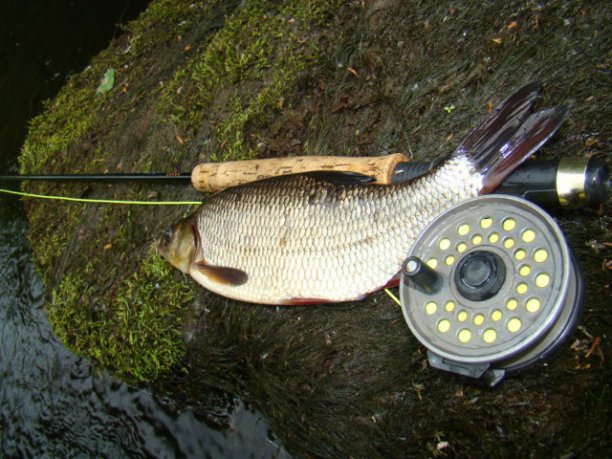 Shrap-Drakers.pl | Shrap Drakers Fishing | Wędkarstwo 