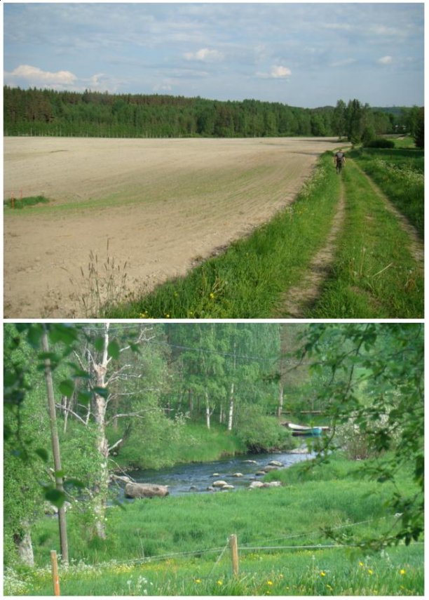 Shrap-Drakers.pl | Shrap Drakers Fishing | Wędkarstwo 