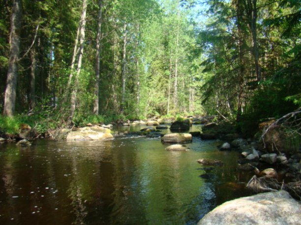 Shrap-Drakers.pl | Shrap Drakers Fishing | Wędkarstwo 