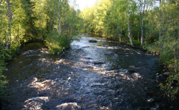 Shrap-Drakers.pl | Shrap Drakers Fishing | Wędkarstwo 