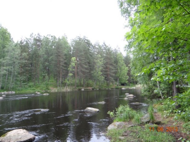 Shrap-Drakers.pl | Shrap Drakers Fishing | Wędkarstwo 