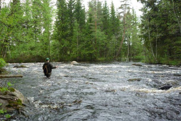 Shrap-Drakers.pl | Shrap Drakers Fishing | Wędkarstwo 