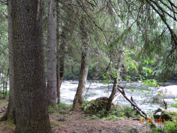 Shrap-Drakers.pl | Shrap Drakers Fishing | Wędkarstwo 