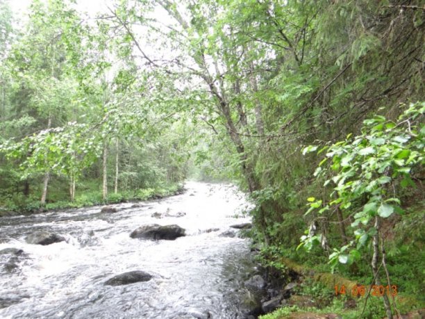 Shrap-Drakers.pl | Shrap Drakers Fishing | Wędkarstwo 