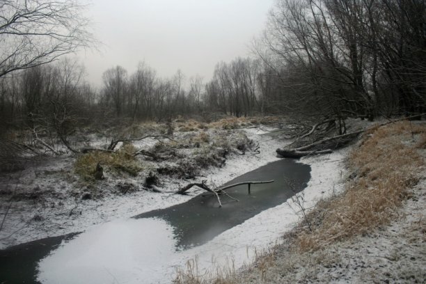 Shrap-Drakers.pl | Shrap Drakers Fishing | Wędkarstwo 