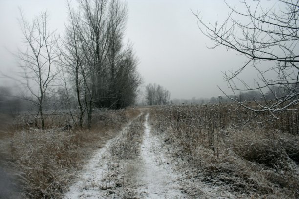 Shrap-Drakers.pl | Shrap Drakers Fishing | Wędkarstwo 