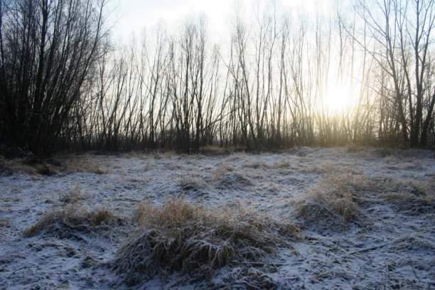 Shrap-Drakers.pl | Shrap Drakers Fishing | Wędkarstwo 