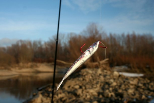 Shrap-Drakers.pl | Shrap Drakers Fishing | Wędkarstwo 