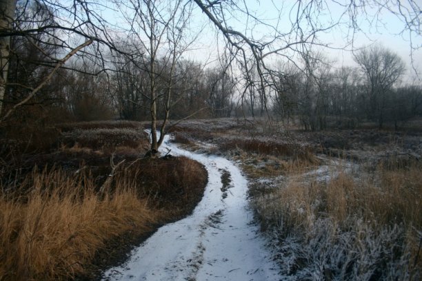 Shrap-Drakers.pl | Shrap Drakers Fishing | Wędkarstwo 