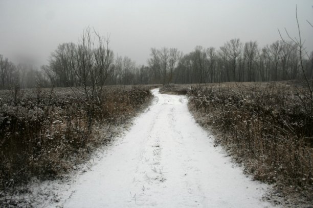 Shrap-Drakers.pl | Shrap Drakers Fishing | Wędkarstwo 