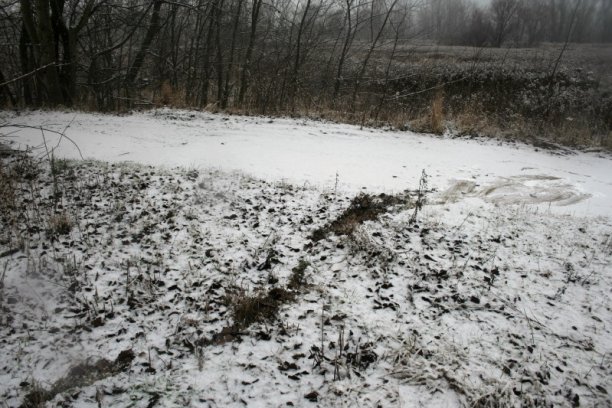 Shrap-Drakers.pl | Shrap Drakers Fishing | Wędkarstwo 