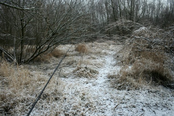 Shrap-Drakers.pl | Shrap Drakers Fishing | Wędkarstwo 