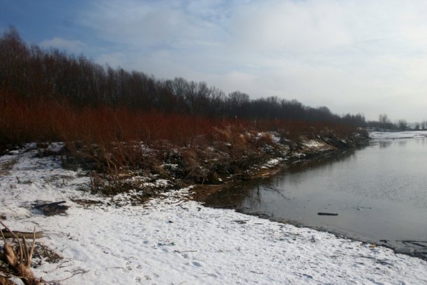 Shrap-Drakers.pl | Shrap Drakers Fishing | Wędkarstwo 