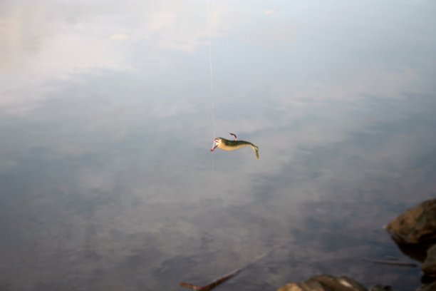 Shrap-Drakers.pl | Shrap Drakers Fishing | Wędkarstwo 