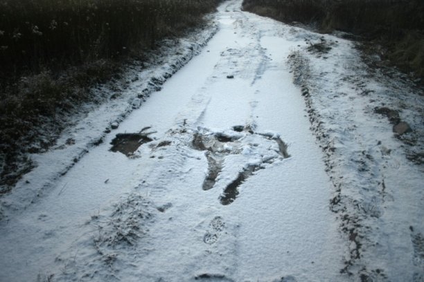 Shrap-Drakers.pl | Shrap Drakers Fishing | Wędkarstwo 