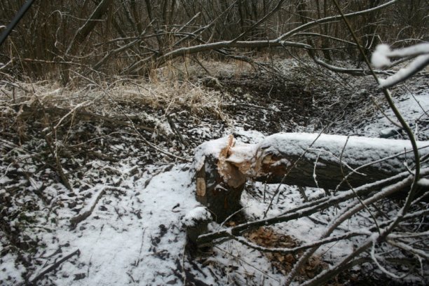 Shrap-Drakers.pl | Shrap Drakers Fishing | Wędkarstwo 