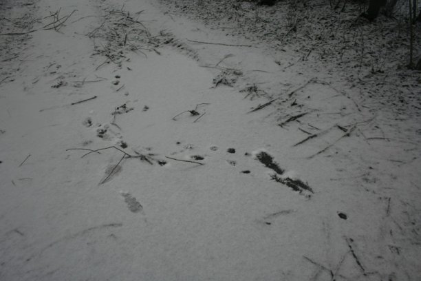 Shrap-Drakers.pl | Shrap Drakers Fishing | Wędkarstwo 