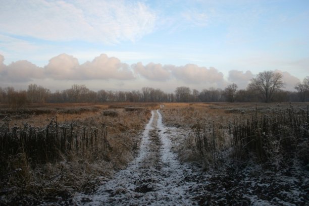 Shrap-Drakers.pl | Shrap Drakers Fishing | Wędkarstwo 