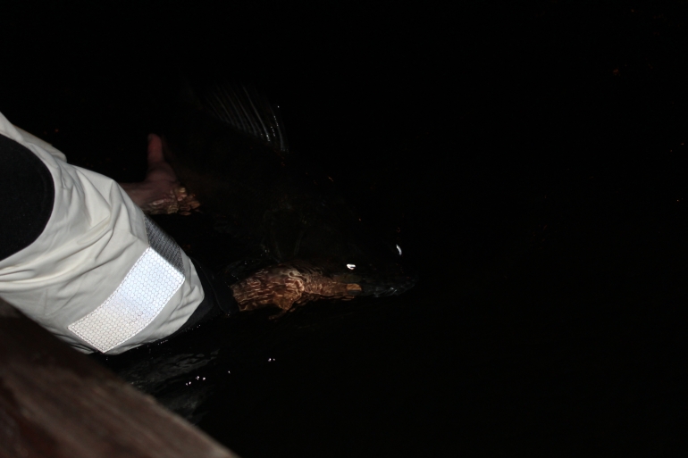 Shrap-Drakers.pl | Shrap Drakers Fishing | Wędkarstwo 