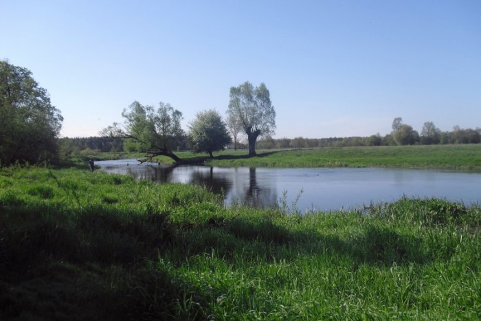 Shrap-Drakers.pl | Shrap Drakers Fishing | Wędkarstwo 