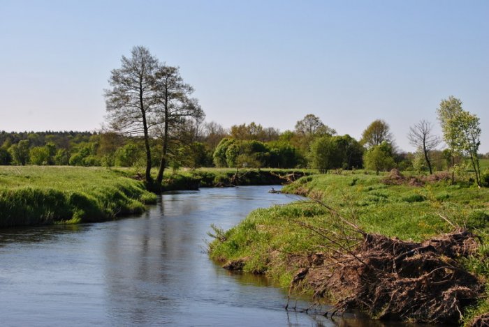 Shrap-Drakers.pl | Shrap Drakers Fishing | Wędkarstwo 