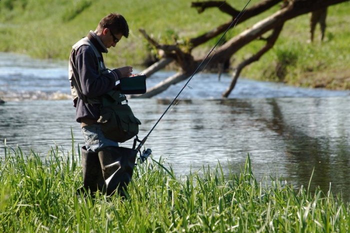 Shrap-Drakers.pl | Shrap Drakers Fishing | Wędkarstwo 