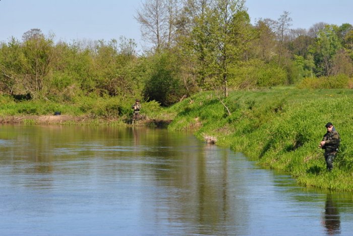 Shrap-Drakers.pl | Shrap Drakers Fishing | Wędkarstwo 