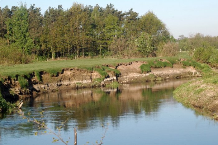 Shrap-Drakers.pl | Shrap Drakers Fishing | Wędkarstwo 