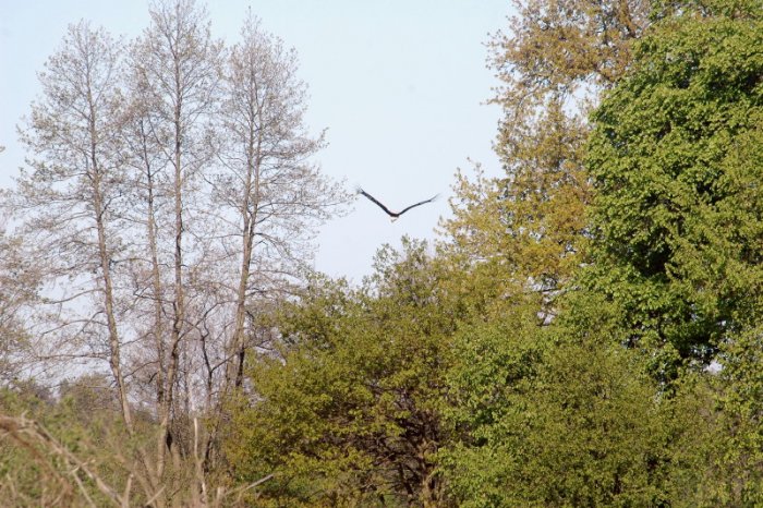 Shrap-Drakers.pl | Shrap Drakers Fishing | Wędkarstwo 