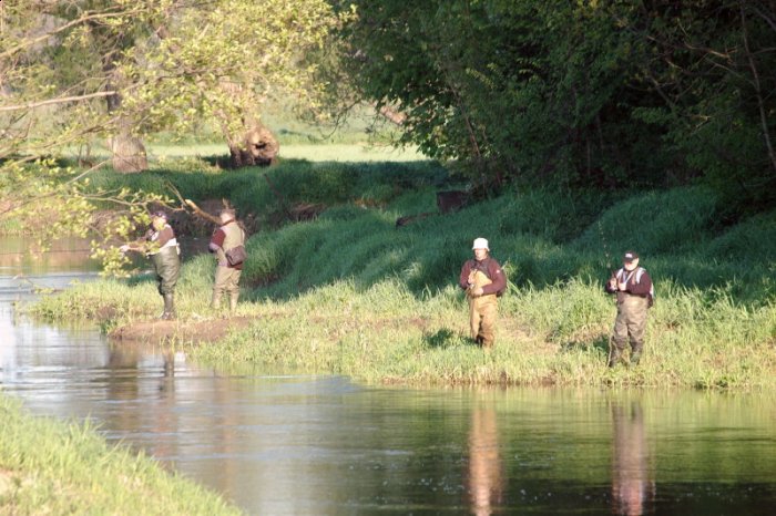 Shrap-Drakers.pl | Shrap Drakers Fishing | Wędkarstwo 