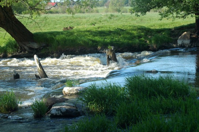 Shrap-Drakers.pl | Shrap Drakers Fishing | Wędkarstwo 