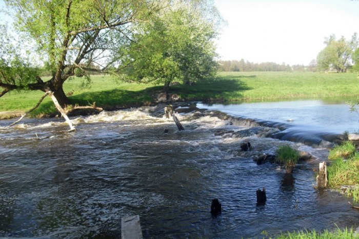 Shrap-Drakers.pl | Shrap Drakers Fishing | Wędkarstwo 