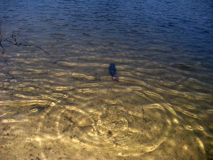 Shrap-Drakers.pl | Shrap Drakers Fishing | Wędkarstwo 