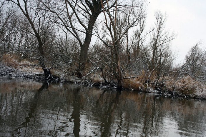 Shrap-Drakers.pl | Shrap Drakers Fishing | Wędkarstwo 