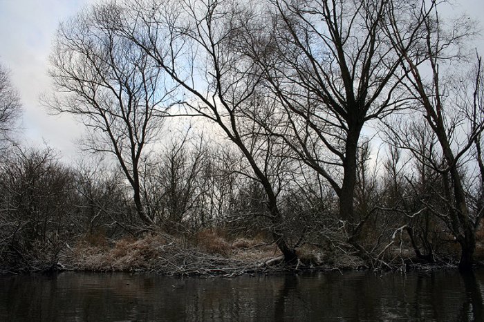 Shrap-Drakers.pl | Shrap Drakers Fishing | Wędkarstwo 