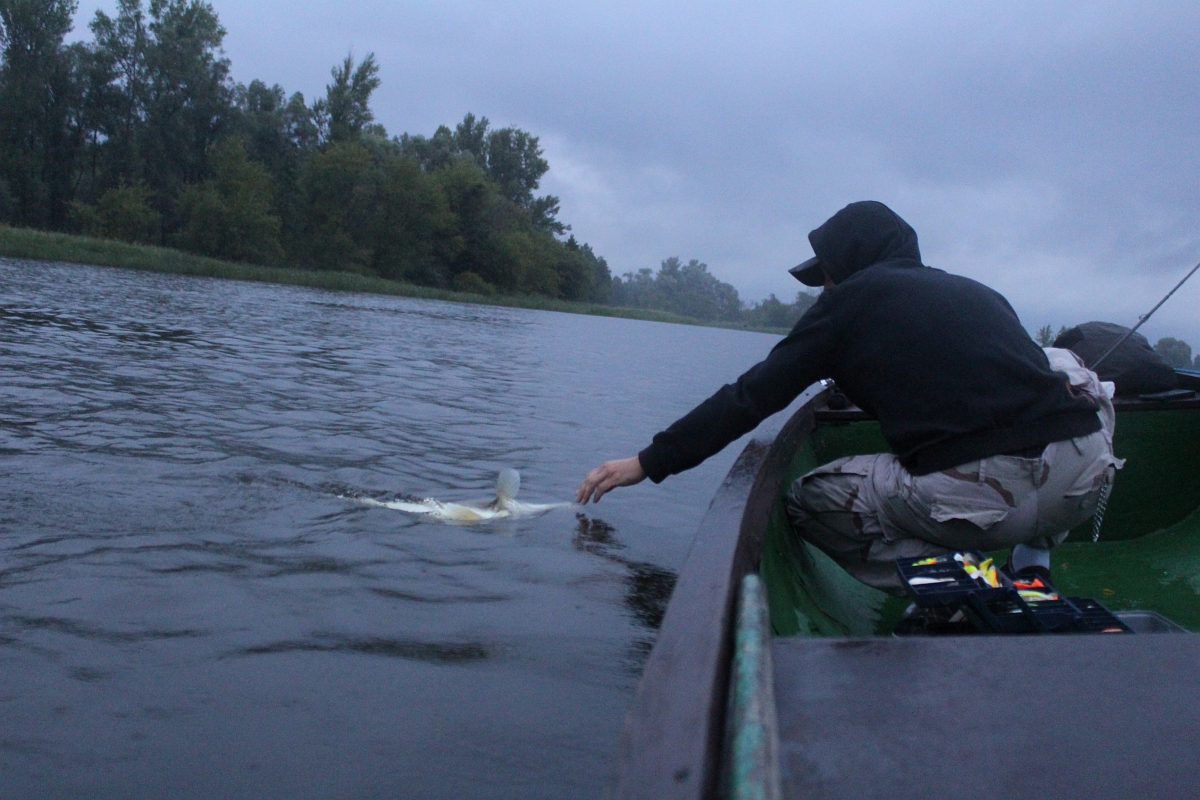 Shrap-Drakers.pl | Shrap Drakers Fishing | Wędkarstwo 