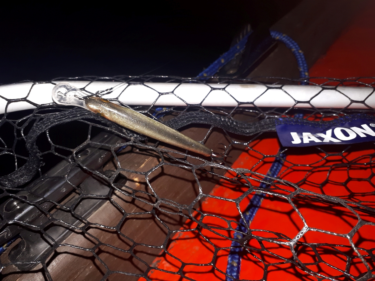 Shrap-Drakers.pl | Shrap Drakers Fishing | Wędkarstwo 