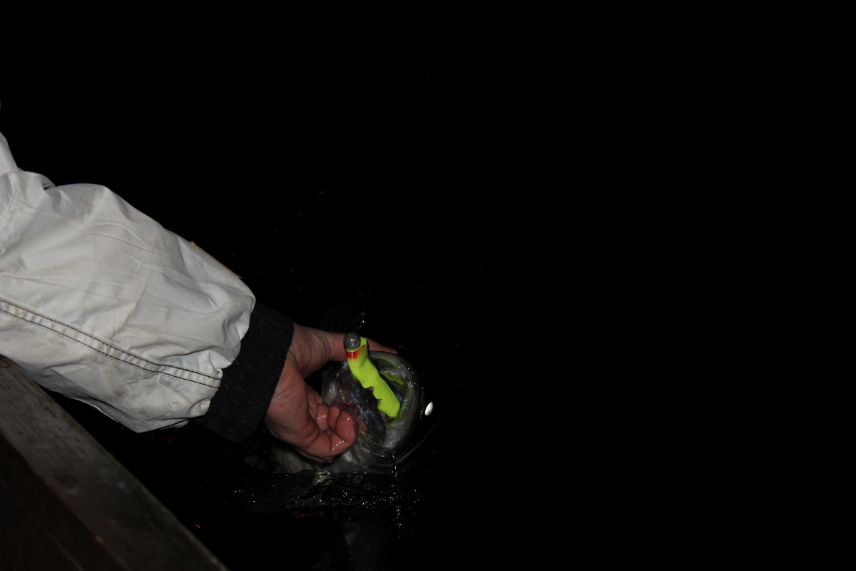 Shrap-Drakers.pl | Shrap Drakers Fishing | Wędkarstwo 