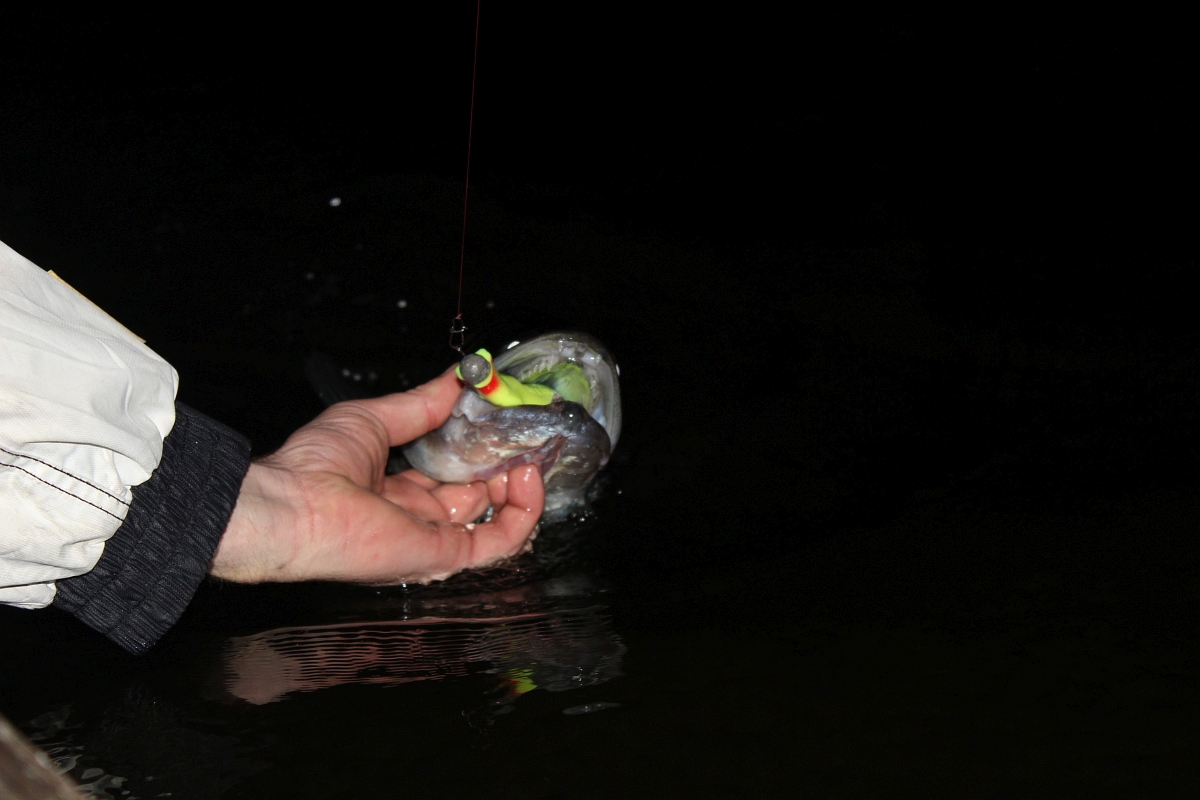 Shrap-Drakers.pl | Shrap Drakers Fishing | Wędkarstwo 