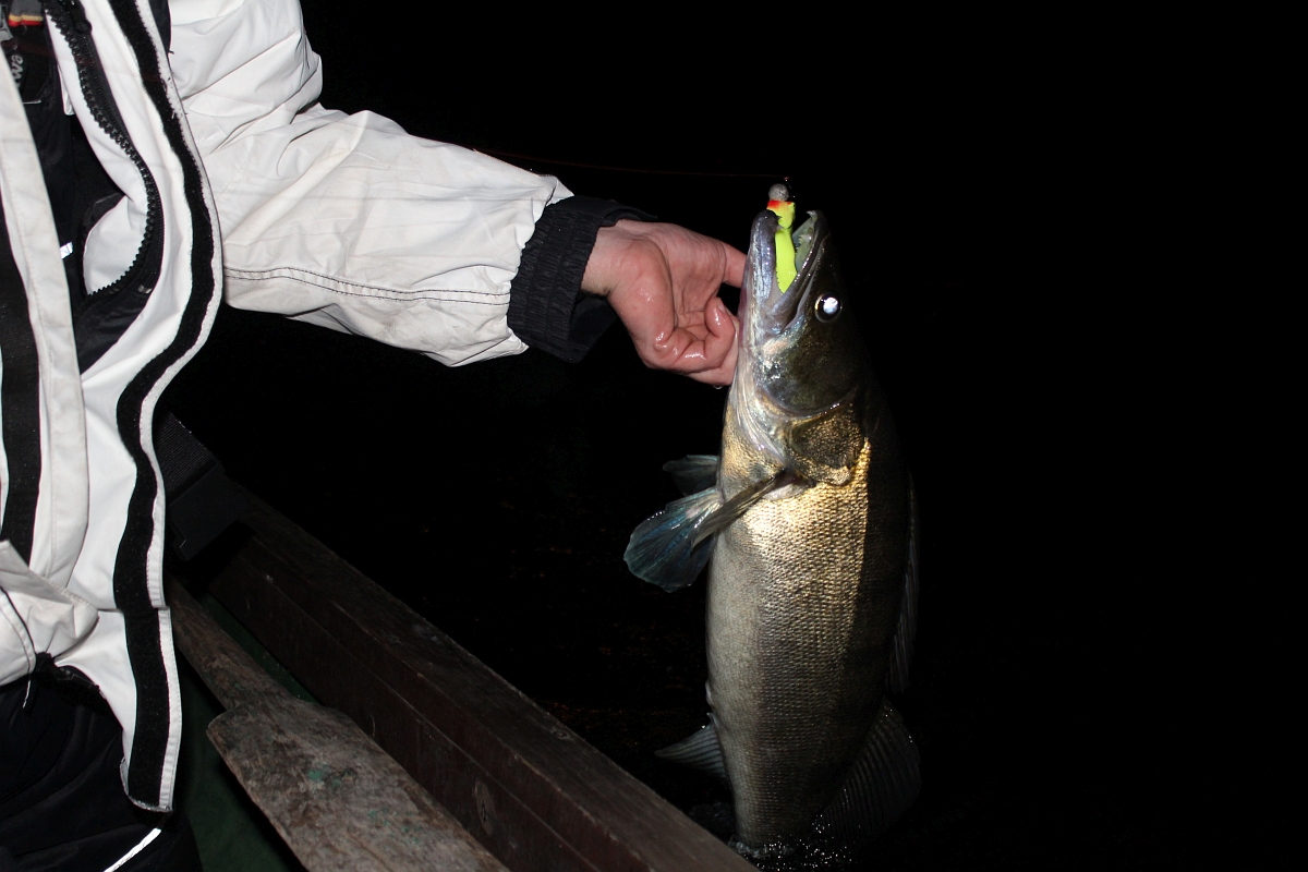 Shrap-Drakers.pl | Shrap Drakers Fishing | Wędkarstwo 