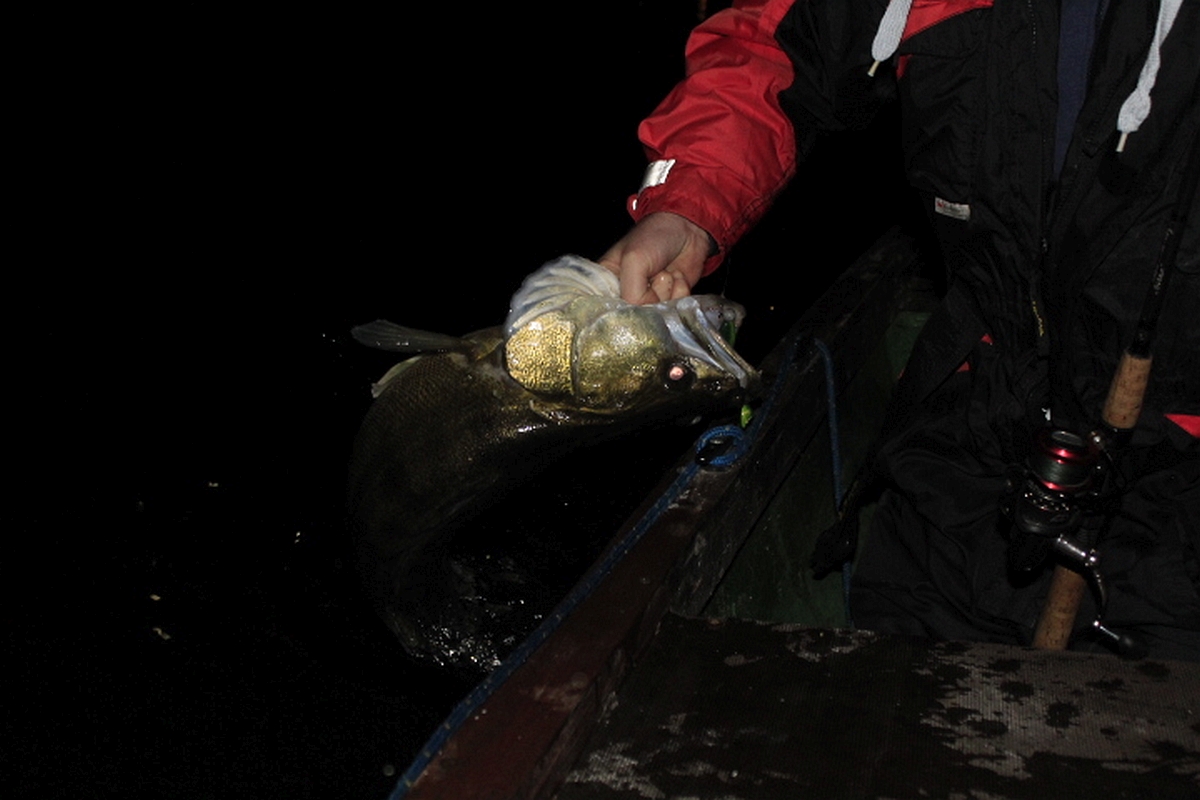 Shrap-Drakers.pl | Shrap Drakers Fishing | Wędkarstwo 