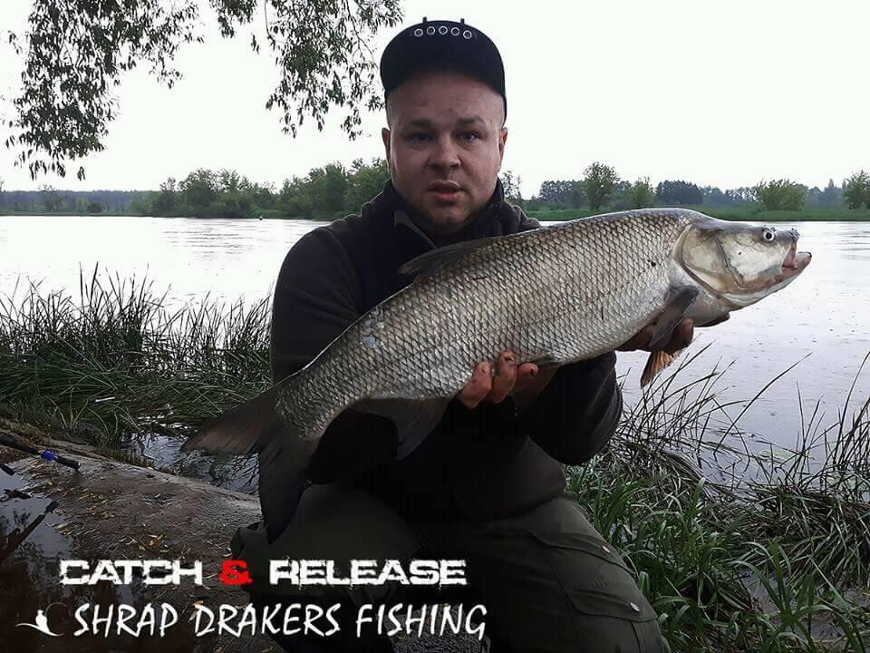 Shrap-Drakers.pl | Shrap Drakers Fishing | Wędkarstwo 