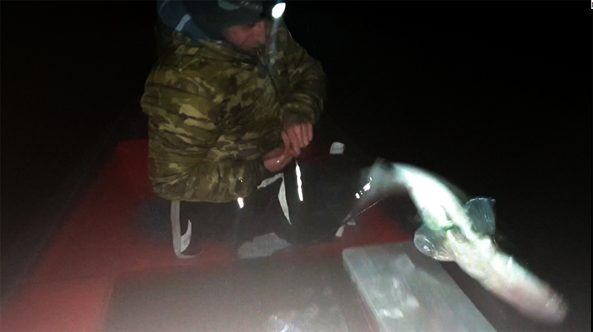 Shrap-Drakers.pl | Shrap Drakers Fishing | Wędkarstwo 