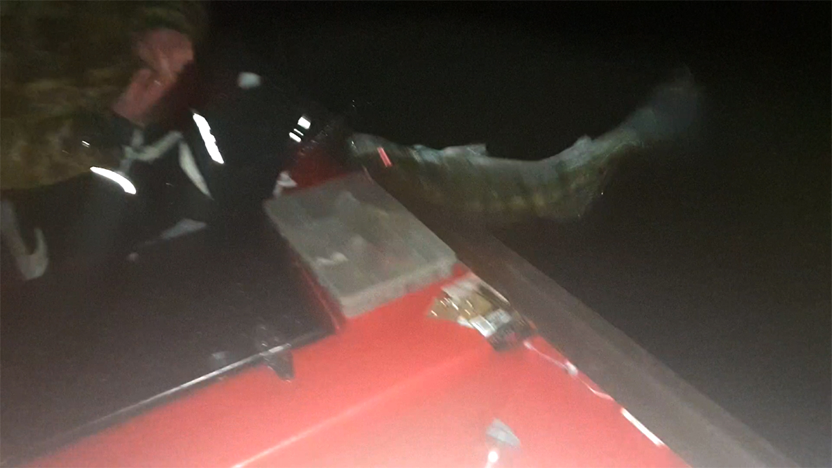 Shrap-Drakers.pl | Shrap Drakers Fishing | Wędkarstwo 